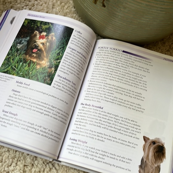TWO Yorkshire Terrier Breed Care Manuals - Picture 6 of 12
